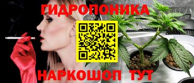 стаф Камышлов
