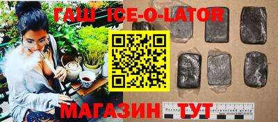 стаф Камышлов