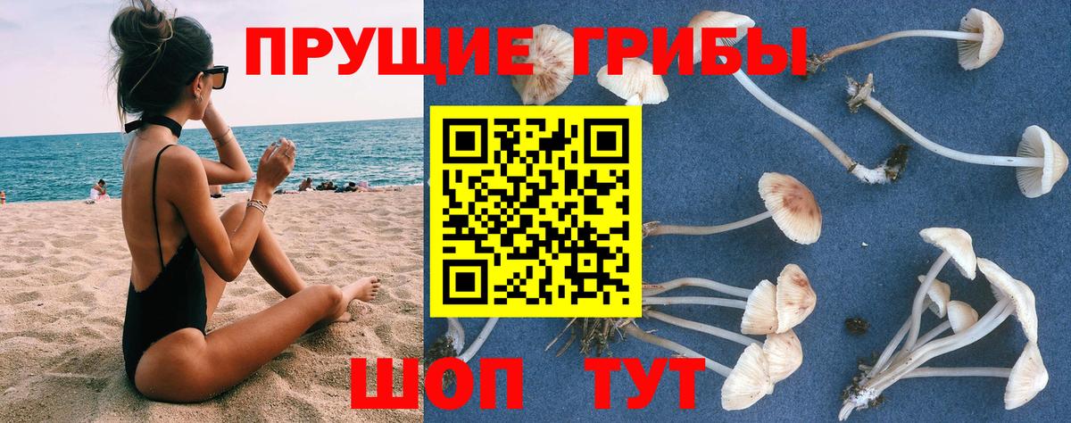 Галлюциногенные грибы мухоморы Кудымкар