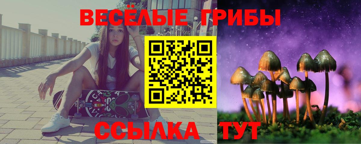 Псилоцибиновые грибы Cubensis  Галлюциногенные грибы ЛСД  Вход с VPN  Кудымкар 